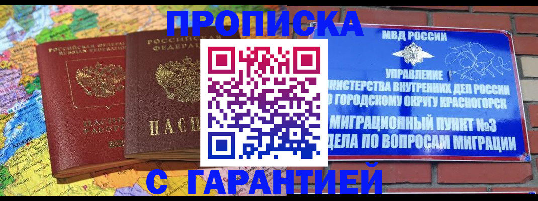 прописка для школы в Северске